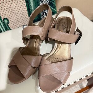 Elegant Taupe Shoe